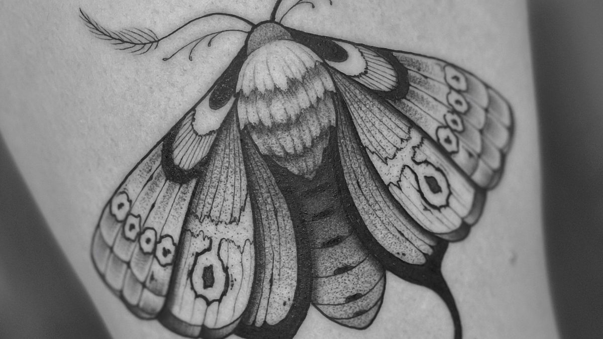 tatuaje polilla
