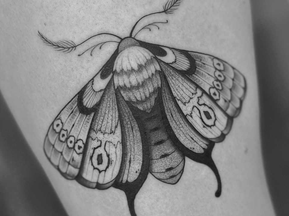 tatuaje polilla