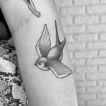 tatuaje golondrina