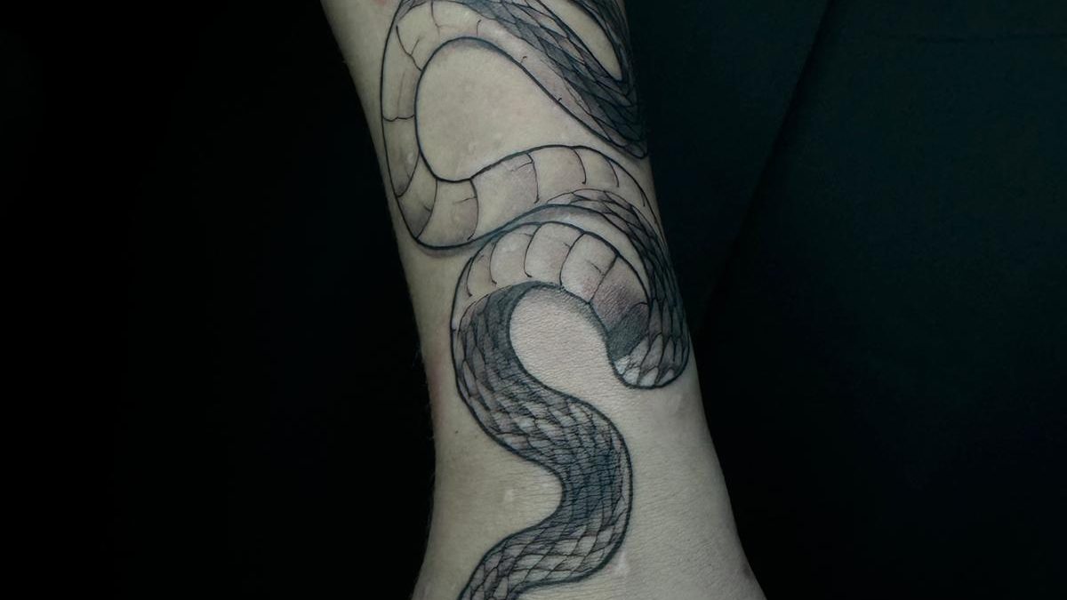 serpiente rodeando brazo