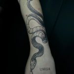 serpiente rodeando brazo