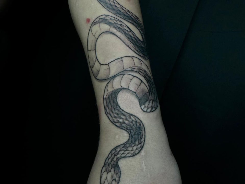 serpiente rodeando brazo
